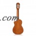 Cordoba Guilele CE Acoustic Electric Travel Guitar   